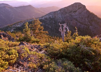 Mountains and ground-level shrubs are bathed in evening light.