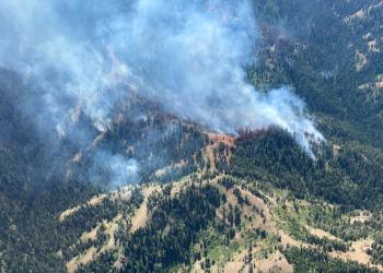 forested landscape with smoke from a wildfire