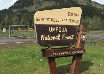 A brown and tan, U.S. Forest Service sign that says, "Dorena Genetic Resource Center Umpqua National Forest and then in smaller text below, "U.S. Department of Agriculture"