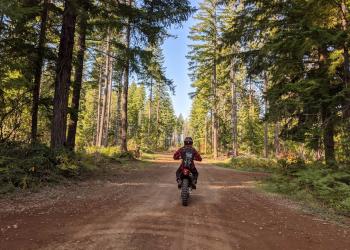 A person on a motorcycle on a road in the forest