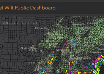 dark map graphic