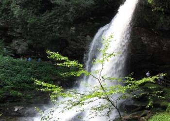 waterfall in the forest