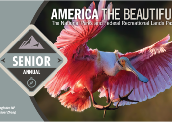 The front of the American the Beautiful Senior Annual pass.