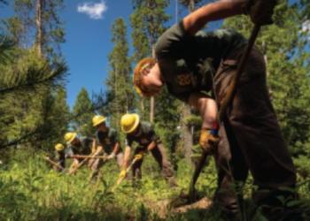 A trails crew creating a path.