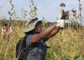 A teenager holding a dried flower in a field of dead flowers.