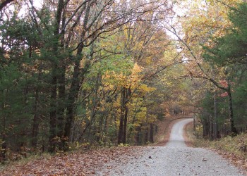 driving down glade top