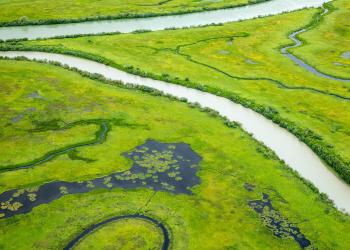 a closeup of channels of water flowing toward the second largest delta in North America.
