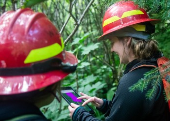 Two workers in PPE use a digital tablet to enter forest data.