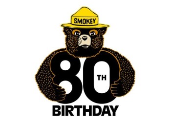 A logo with a bear in a ranger hat holding an eightieth birthday sign.