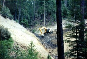 Trinity County Resource Conservation District -- road after decommissioning