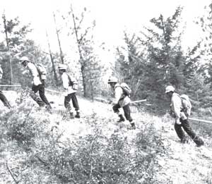 Photograph of firefighters hiking up a hill.