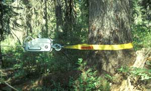 Trail Services: Trail Construction Tools, Rigging Tools, Griphoist