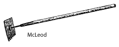Image of a Mcleod.