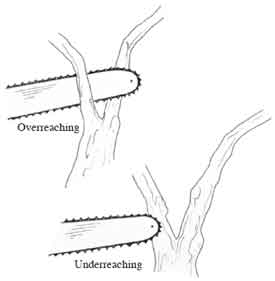 Drawing giving an example of overreaching and underreaching. 