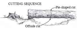 Drawing that shows the cutting sequence of an offside cut and a pie-shaped cut. 