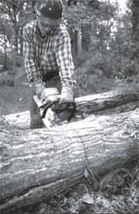 Photo of a sawyer using a chain saw to cut a log.