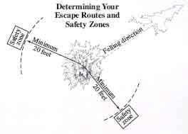Drawing that reads, Determining your escape routes and safety zones. In drawing also text that reads, Felling direction, minimum twenty feet and safety zone.