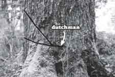 Photo demonstrating what makes a dutchman.