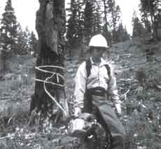 Photo of a sawyer marking a hazard tree and leaving the area. 