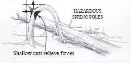 Drawing of hazardous spring poles. Text describes that shallow cuts relieve force.