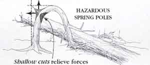 Drawing of hazardous spring poles. Text in the drawing indicates that shallow cuts relieve the tension in a spring pole.