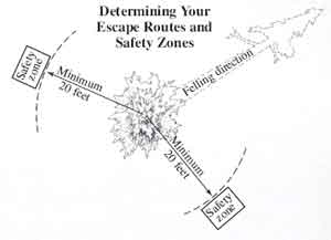 Drawing determining your escape routes and safety zones. Text in the drawing reads, Minimum 20 feet, safety zone, and felling direction.  
