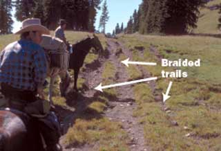 0723-2816-MTDC: Equestrian Design Guidebook for Trails, Trailheads