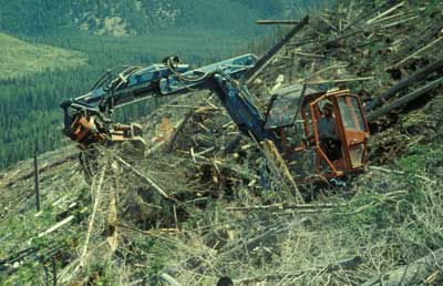 Photo of a man operating a Kaiserpile removing excess slash on a hillside.
