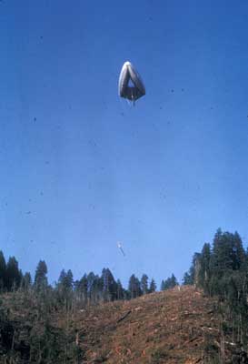 Photo of a senstive forest site where a ballon is being used to remove a log.