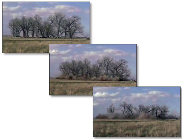Three images showing a stand of trees being felled with explosives.  Each picture shows a different stage of the explosion.