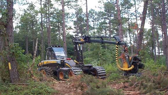 Image of a harvester felling and delimbing a tree.