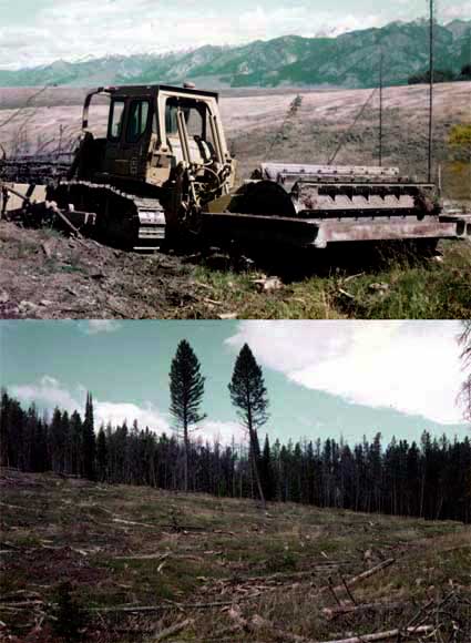 Top image of a dozer pulling a crushing drum and a bottom image of the resulting landscape from pulling the crushing drum over it.
