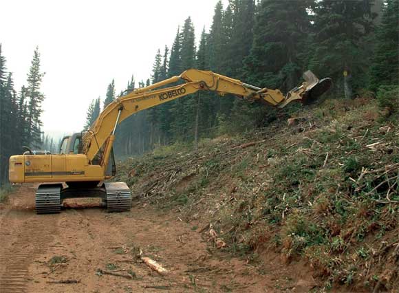Image of a tracked machine with a mulching head attachment mulching the landscape.