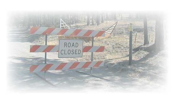 Image of a road block on a forest road with a "Road Closed" sign attached.