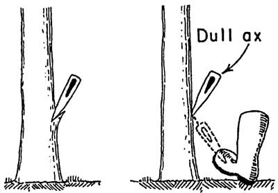 Two drawings. The first shows a sharp ax and how it effectively cuts into a tree. The other drawing shows a dull ax and how it will riqochet off the tree and potential hurt the person handling the ax.