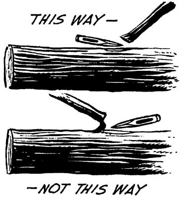 Drawing of how to lop branches.