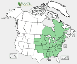 Range map of Panax quinquefolius.