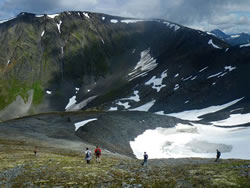 Botanists in Kenai Peninsula's alpine habitats looking for Aleutian cress.