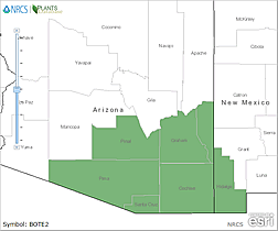 Map of Arizona. Counties are colored green where the species may be found.