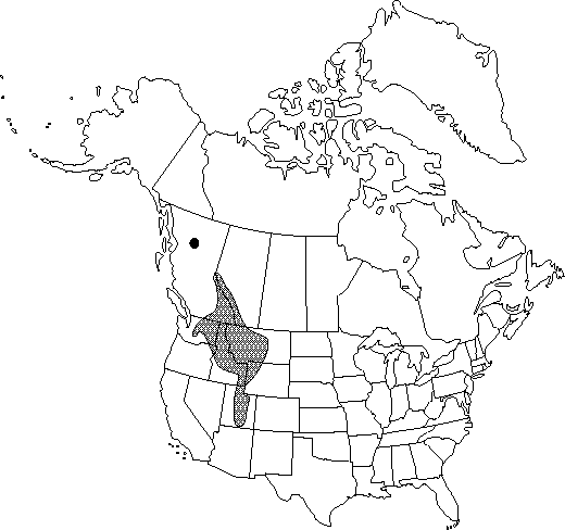 Map of the range of Aquilegia flavescens in North America.