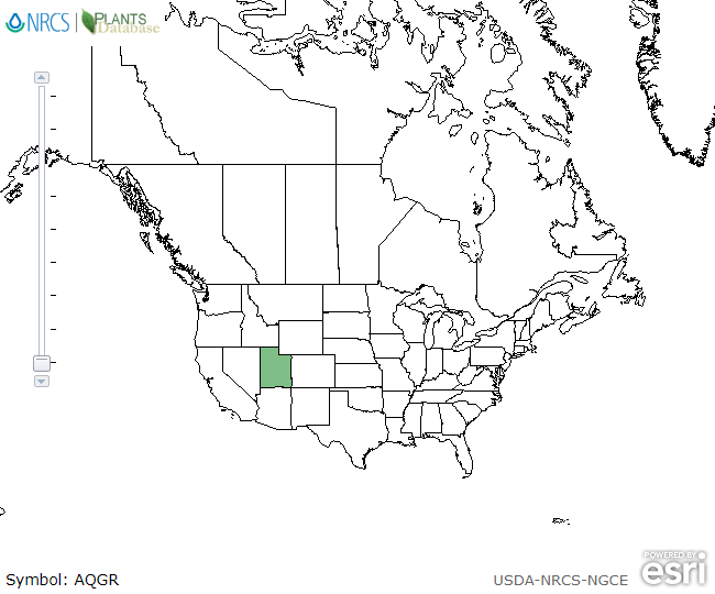 Map of the range of Aquilegia grahamii in North America.