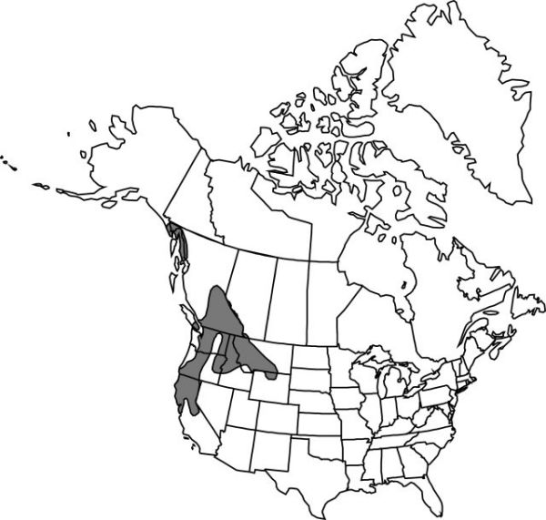 Map of the range of Cypripedium montanum in North America.