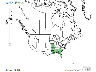 Range map of Iris hexagona var. hexagona in the United States. Green-colored states indicate where this species is found.