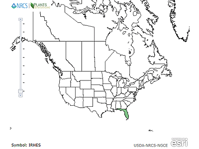 Map of the range of Iris hexagona var. savannarum in North America.