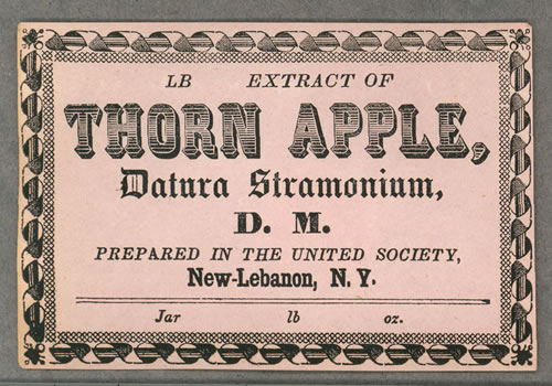 Extract of Thorn Apple advertisement.