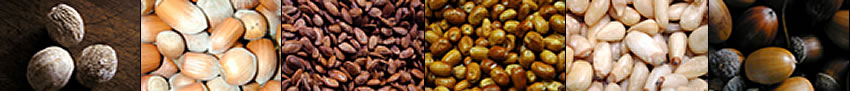 Image banner: muskaat, acorns, chestnuts, almonds, pinion nuts, and pecans.