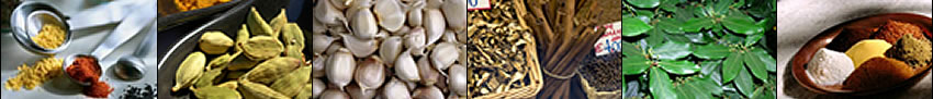 Image banner: measuring spoons and spices, cardamom, garlic cloves, spices in the market, California bay leaves, and powder spices on a dish.