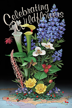Thumbnail of Celebrating Wildflowers Poster.