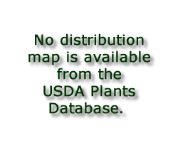 No distribution map is available from the USDA Plants Database.