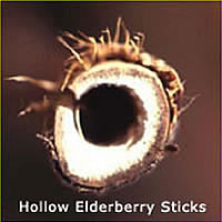 hollow elderberry stick.